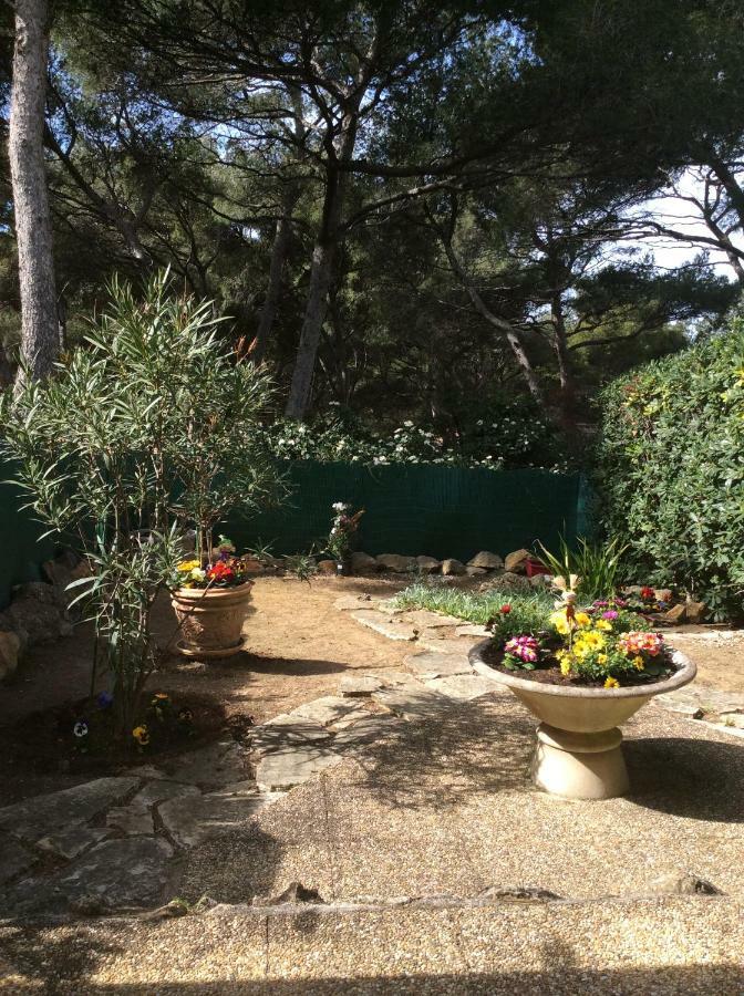 T2 Rez De Jardin 300M Plage De Beaucours Sanary Sur Mer Esterno foto